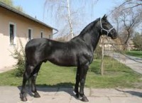 Nóniusz